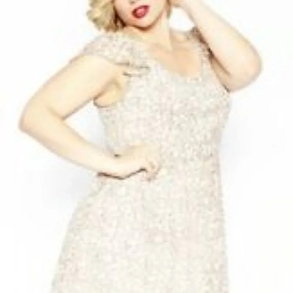 Tripp NYC Daang Goodman Chiffon Skull Heads Dress in Size 16 - Picture 13 of 13